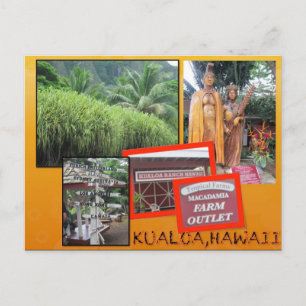 CUSTOM POSTCARDS- HAWAII COLLAGE# 25 POSTCARD