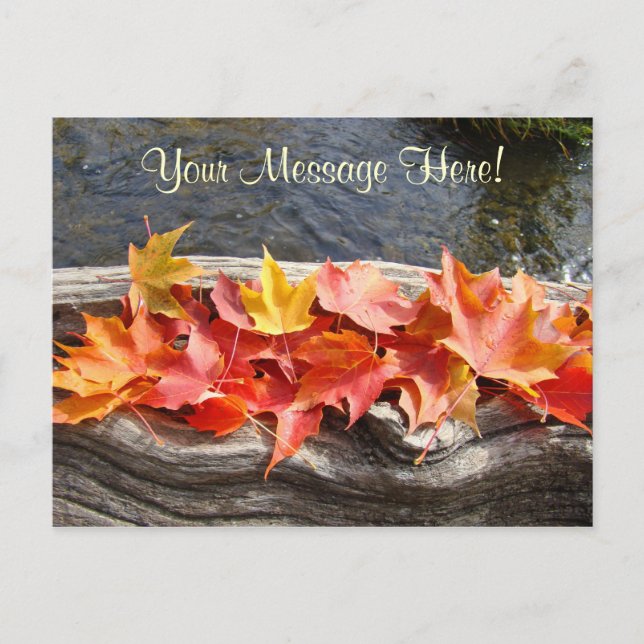 Custom Postcards Red Orange Yellow Fall Leaves (Front)