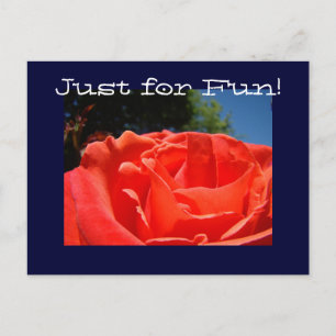 Custom postcards RED Rose Flowers Just for Fun!
