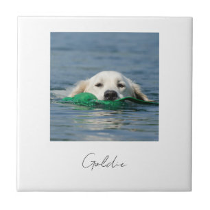 Custom print personalized ceramic dog photo ceramic tile