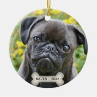 Custom Pug Dog Photo