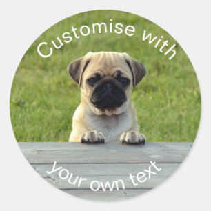 Custom Pug Pup Classic Round Sticker