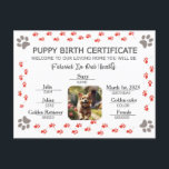 Custom Puppy Birth Certificate Holiday Postcard<br><div class="desc">Custom Puppy Birth Certificate: Personalised Keepsake for Your Furry Friend's Special Day! Celebrate your adorable fur baby's arrival with our Custom Puppy Birth Certificate! This beautifully designed certificate features charming paw prints and is fully customisable with your puppy's photo, making it a cherished keepsake for years to come. Capture the...</div>