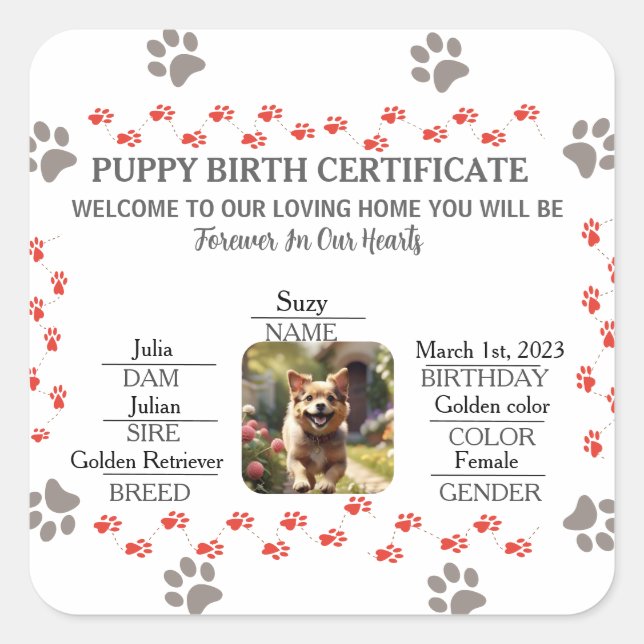 Custom Puppy Birth Certificate Square Sticker (Front)