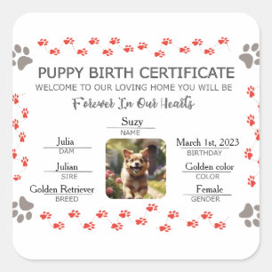 Custom Puppy Birth Certificate Square Sticker