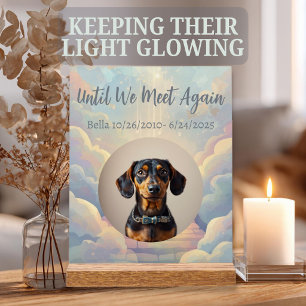 Custom Rainbow Bridge Pet Memorial Acrylic Sign