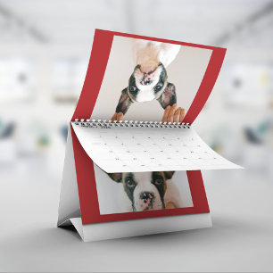 Custom Red Pet Photo Calendar