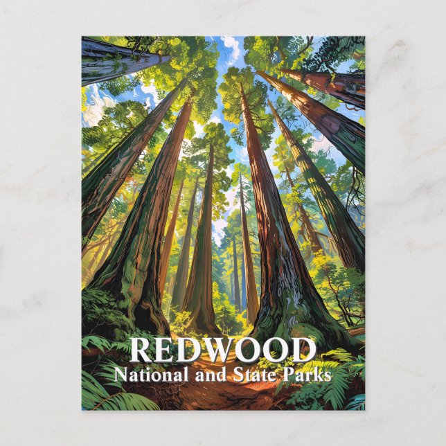 Custom Redwood National Park Trees Painting Travel Postcard (Front)