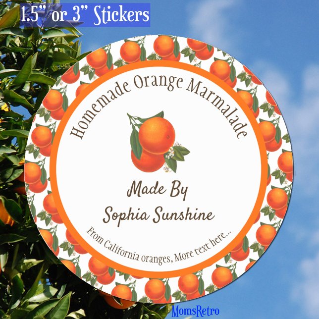 Custom Retro Oranges Pattern  Classic Round Sticker (Oranges retro pattern preserves label)
