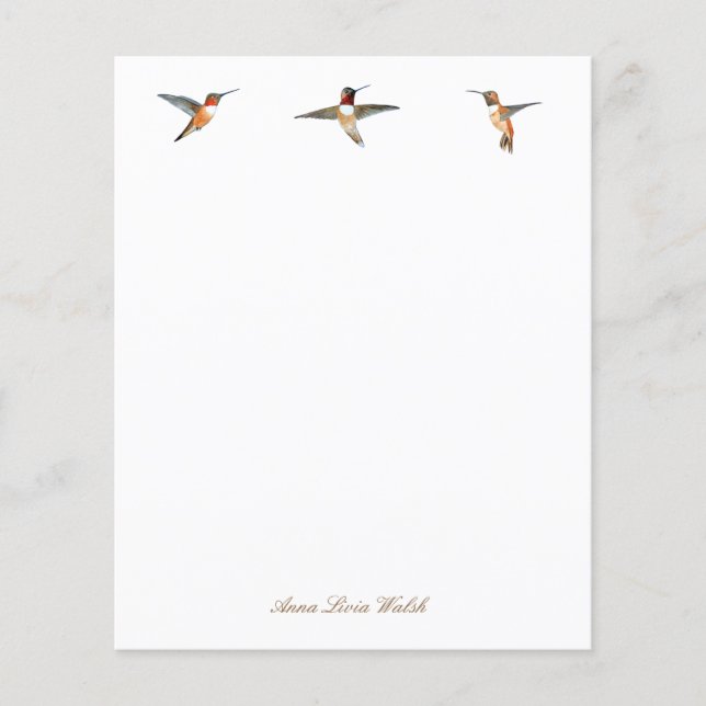 Custom Rufous Hummingbirds Stationery Paper (Front)