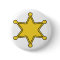 Custom Sheriff Badge - Design Your Own