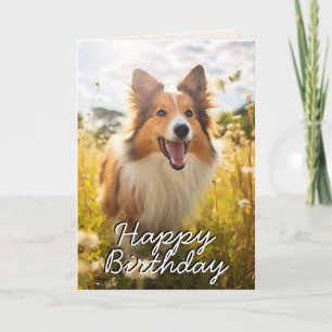 Custom Shetland Sheepdog Birthday Card