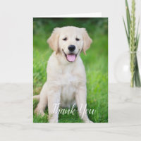 Custom Simple Dog Pet Photo Vet Tech Veterinarian