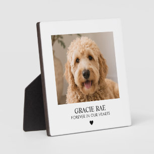 Custom Simple Modern Photo Pet Memorial Plaque