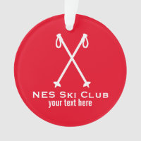 Custom Skiing Nordic Alpine Ski Pole Ski Team