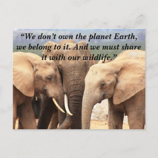 Custom Slogan/Conservation Elephant Family Holiday Postcard