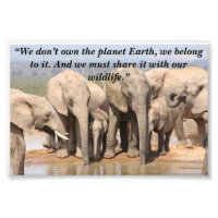 Custom Slogan/Conservation Elephant Herd Social