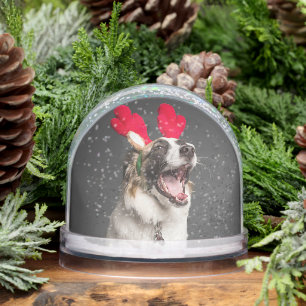 Custom Snow Globe with Your Dog’s Photo