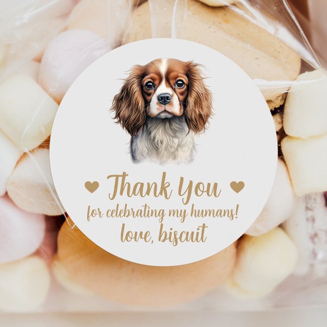 Custom Spaniel Wedding Favour Stickers (Creator Uploaded)