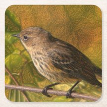 custom square coaster