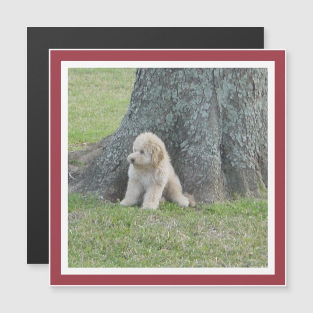 Custom Square Photo Template Cute Red Frame Magnet (Front/Back)