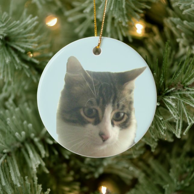 Custom Tabby Cat Photo on Light Blue Ceramic Ornament (Tree)