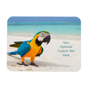 Custom text Beach Parrot Magnet
