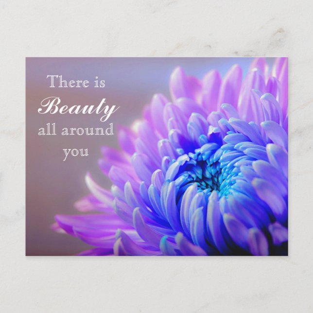 Custom Text Beauty All Around Purple Flower Mum Postcard (Front)