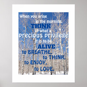 Custom Text Blue Sky Towering Aspens In Snow Photo Poster