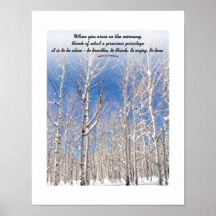 Custom Text Blue Sky Towering Aspens In Snow Photo Poster