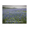 Custom Text Blue Spring Bluebonnets Texas Flower