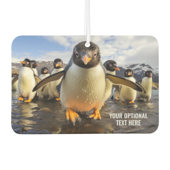 Custom Text Cool Penguins Car Air Freshener (Front)