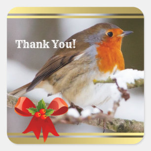 Custom Text cute robin Thank You  Square Sticker