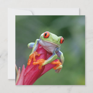 Custom Text Frog Card
