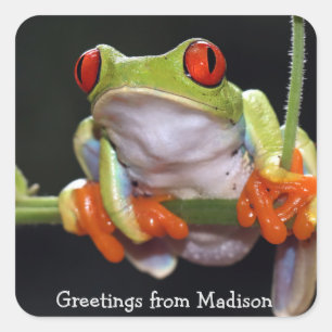 Custom text Frog Square Sticker