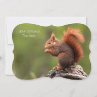 Custom Text Squirrel