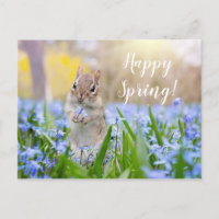 Custom Text Squirrel in Wildflowers Happy Spring