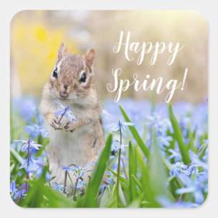 Custom Text Squirrel in Wildflowers Happy Spring Square Sticker
