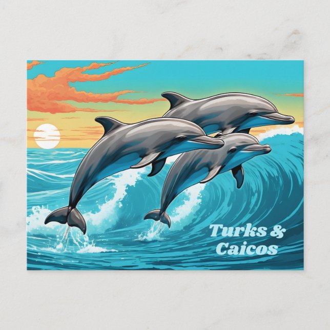 Custom Text Turks and Caicos Dolphin Postcard (Front)