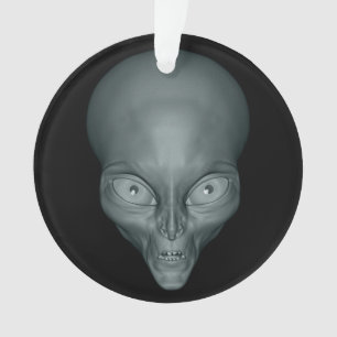 Custom text UFO Alien ornament