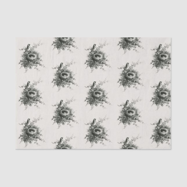 CUSTOM Tissue Paper EGGS IN NEST (Front)