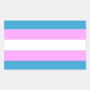 Custom Trans Flag Rectangular Sticker