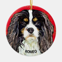 Custom Tri-Coloured Cavalier King Spaniel 