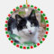 Custom tuxedo cat photo and green red frame
