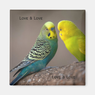 Custom Two Parrot image with text Loving Magnet