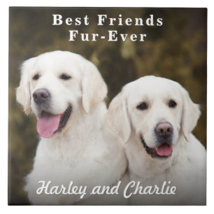 Custom Two Pet Dog Photo Best Friends Fur-Ever Ceramic Tile
