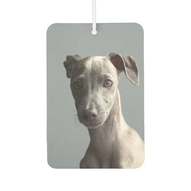 Custom Two-sided Pet Dog Photo Personalised Car Car Air Freshener (Front)