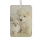 Custom Two-Sided Photo Car