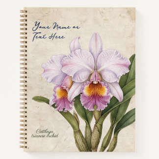 Custom Vintage Cattleya Trianae Orchid Botanical Notebook