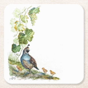 Custom Watercolor California Quail Family Grapes Square Paper Coaster
